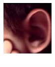 pick of this week:  the big ear